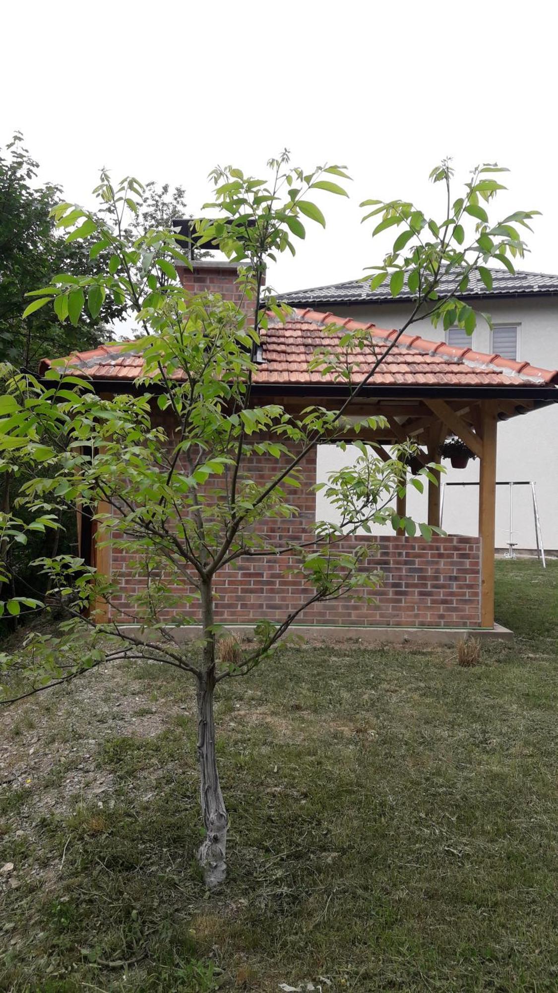 Nadia'S Home Ilidža Habitación foto